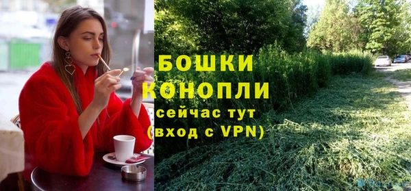 молекула духа Бородино
