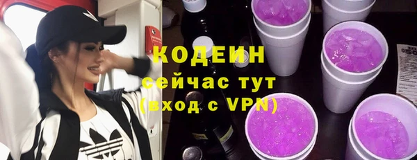 молекула духа Бородино