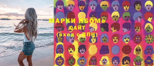 молекула духа Бородино