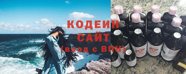 молекула духа Бородино