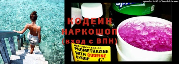 молекула духа Бородино